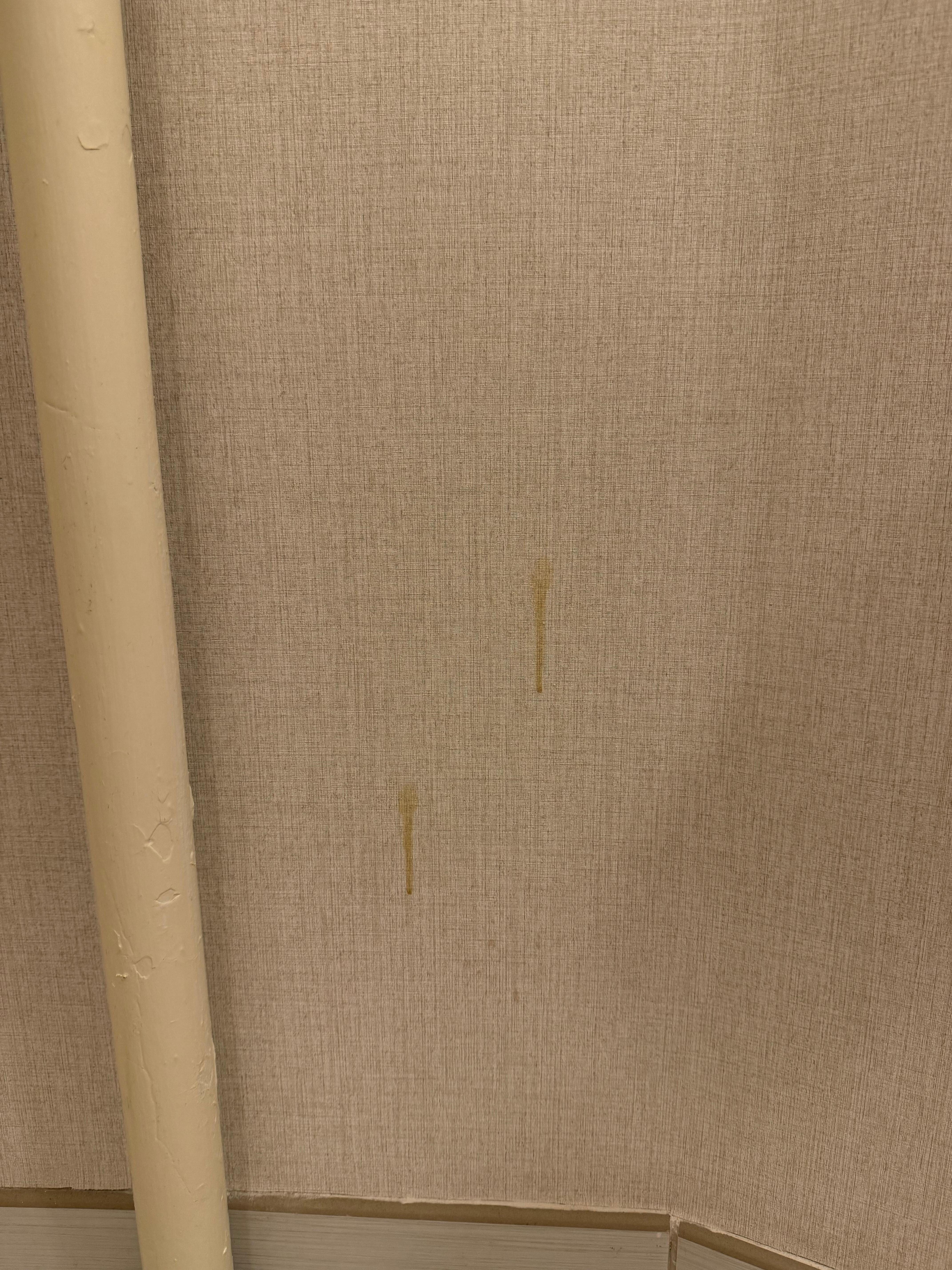 Substance dripping down wall. 