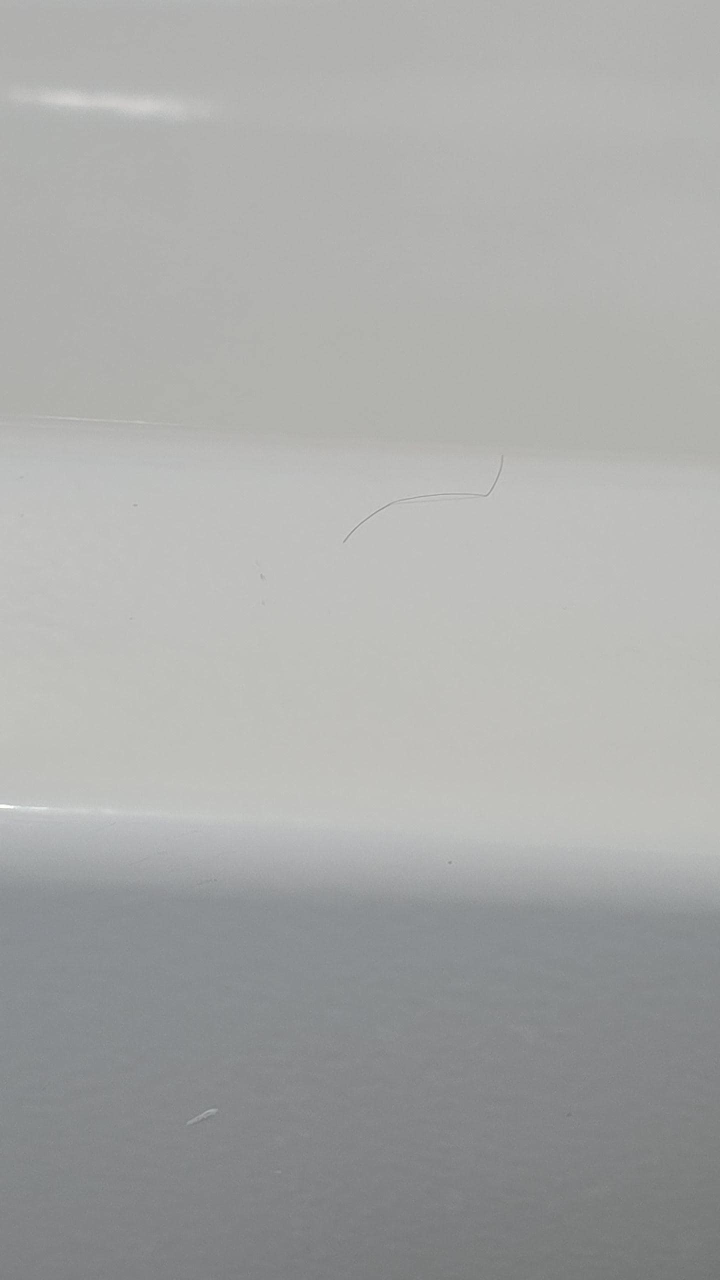 One picture of all the hair left on surfaces 