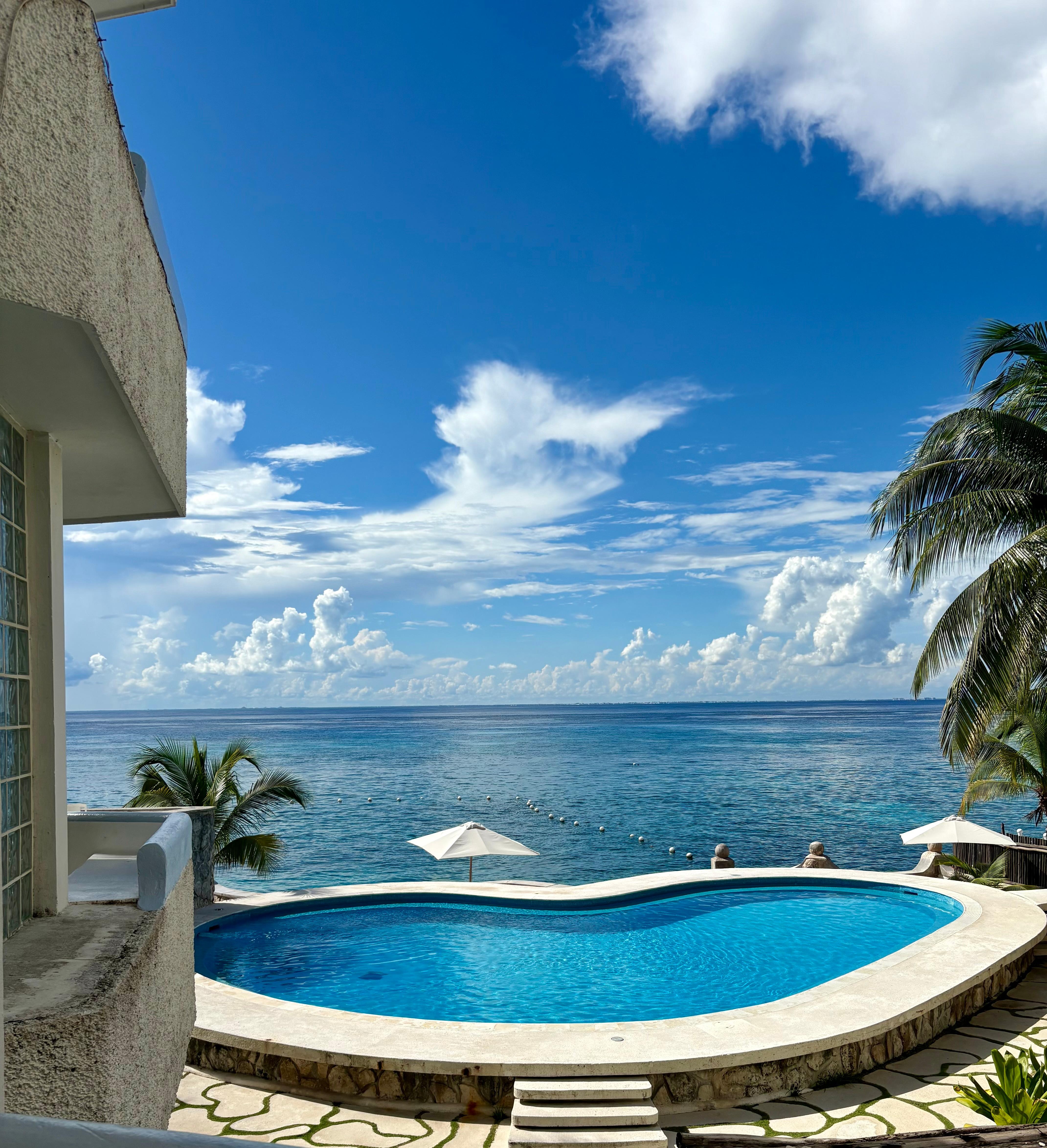 View from living room 