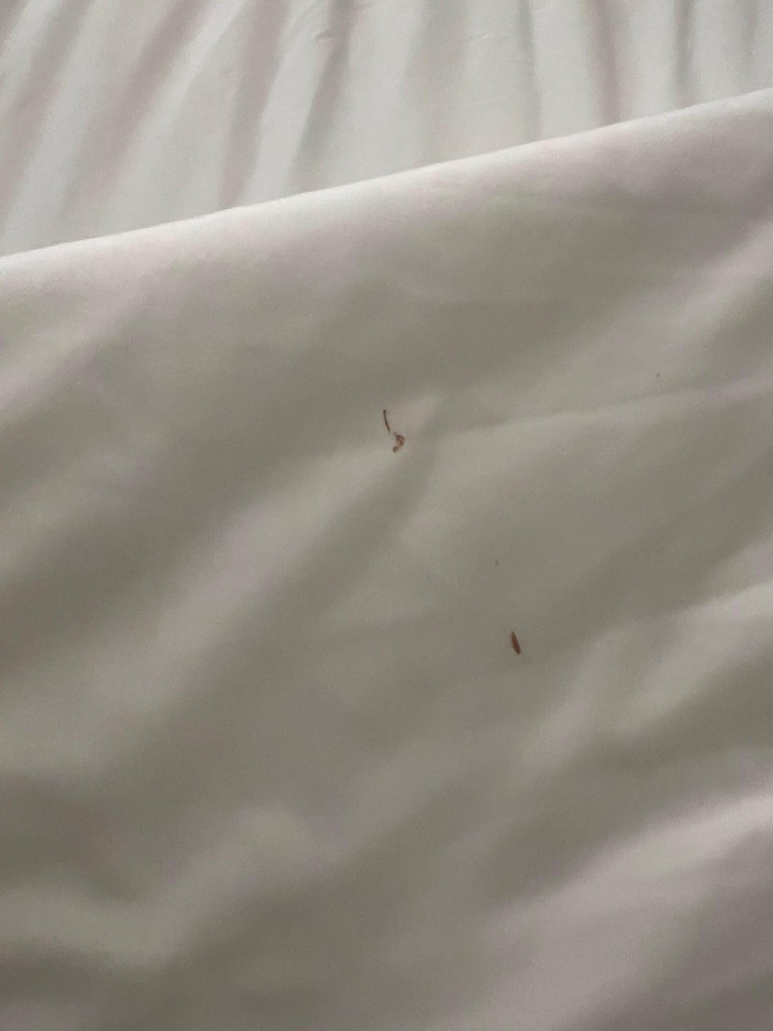 Blood on sheets