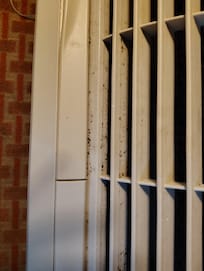 Mold/mildew on the air conditioner