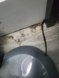 pile of dirt on floor by lamp