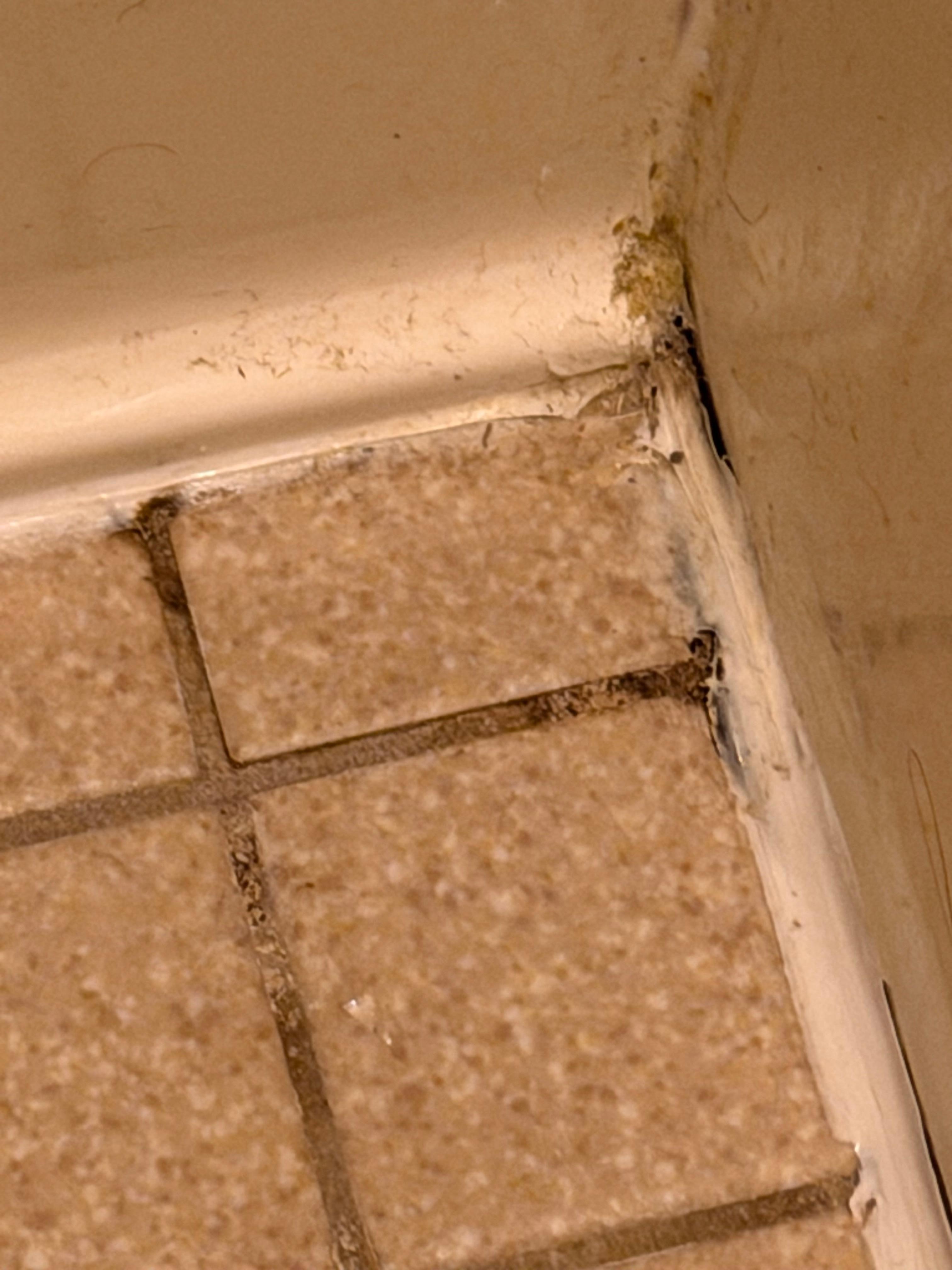 Floors in bathroom need some work or cleaned better 