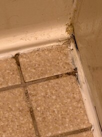 Floors in bathroom need some work or cleaned better