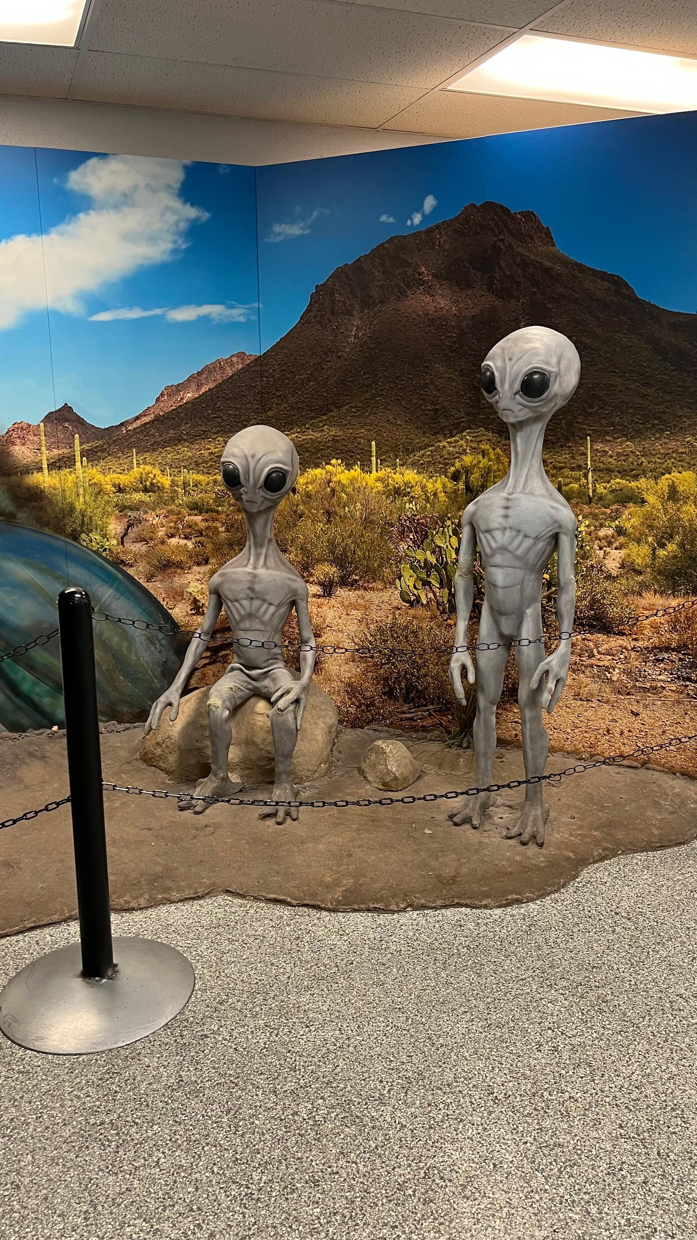 Museum was a little silly but has a TON of real research around UFOs and extraterrestrial life. Super cool!