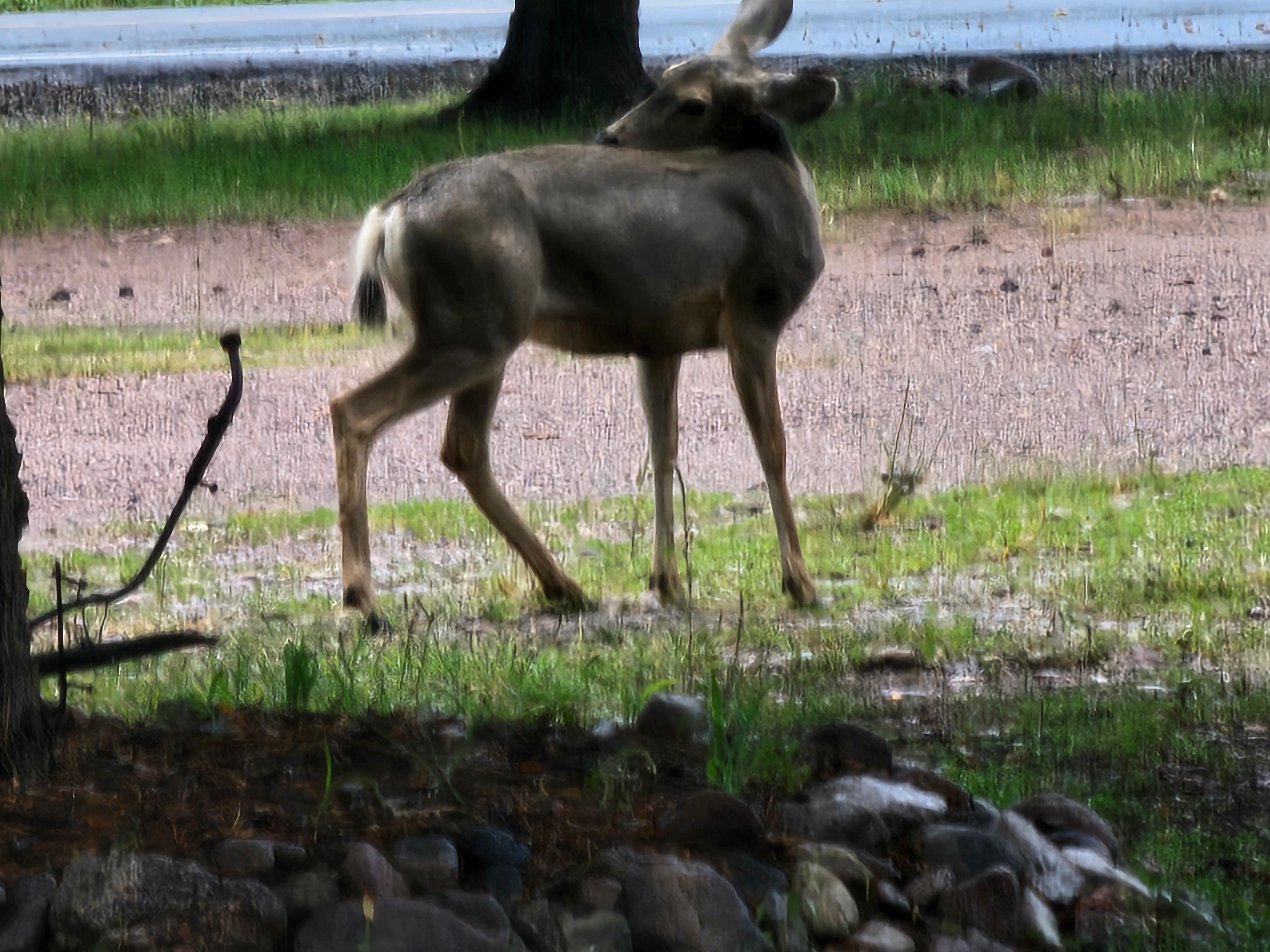 To wake up in the morning and see this was so refreshing from the city.