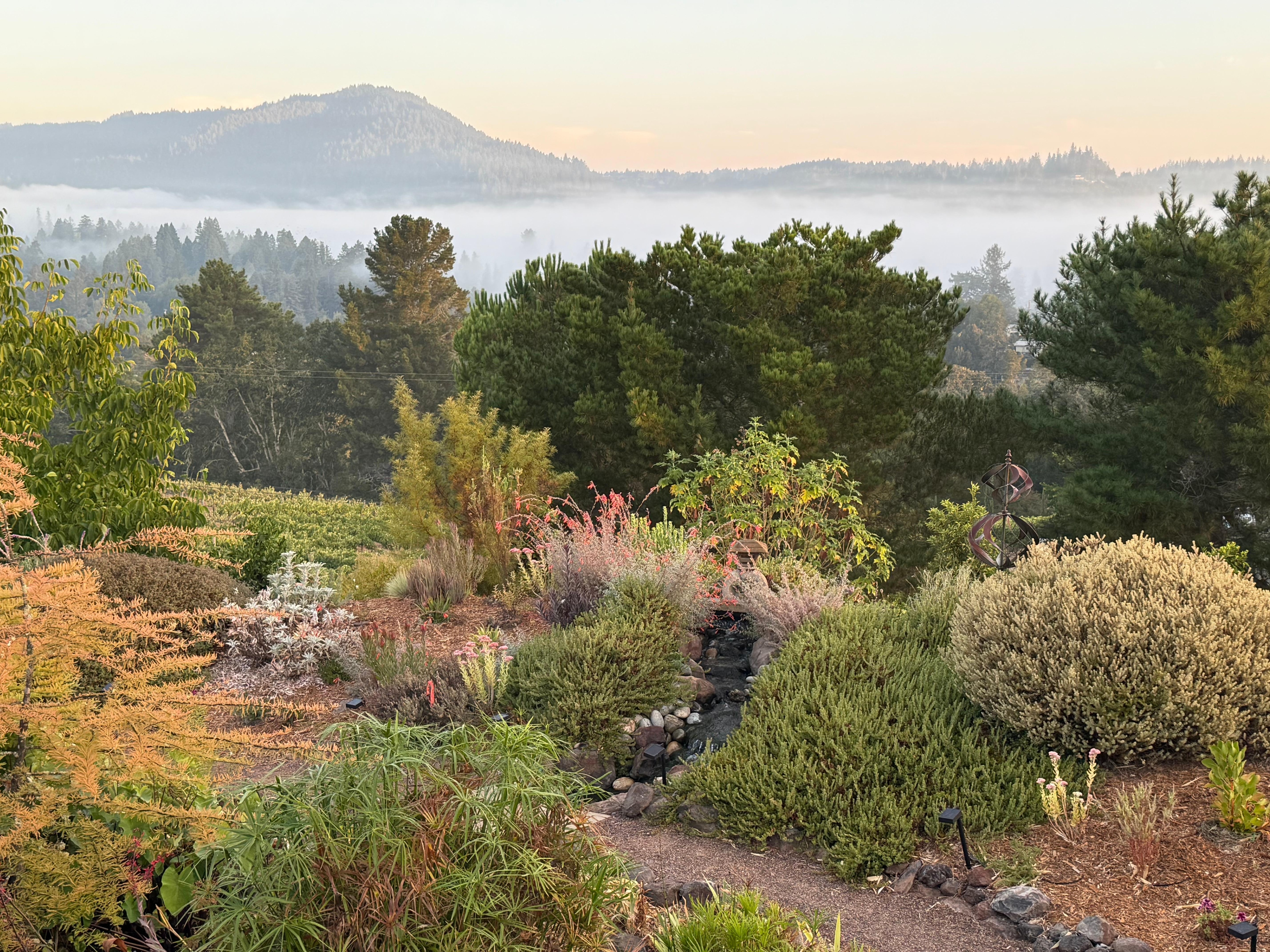 View from the home's deck with morning fog in the valley.