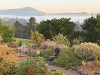 View from the home's deck with morning fog in the valley.