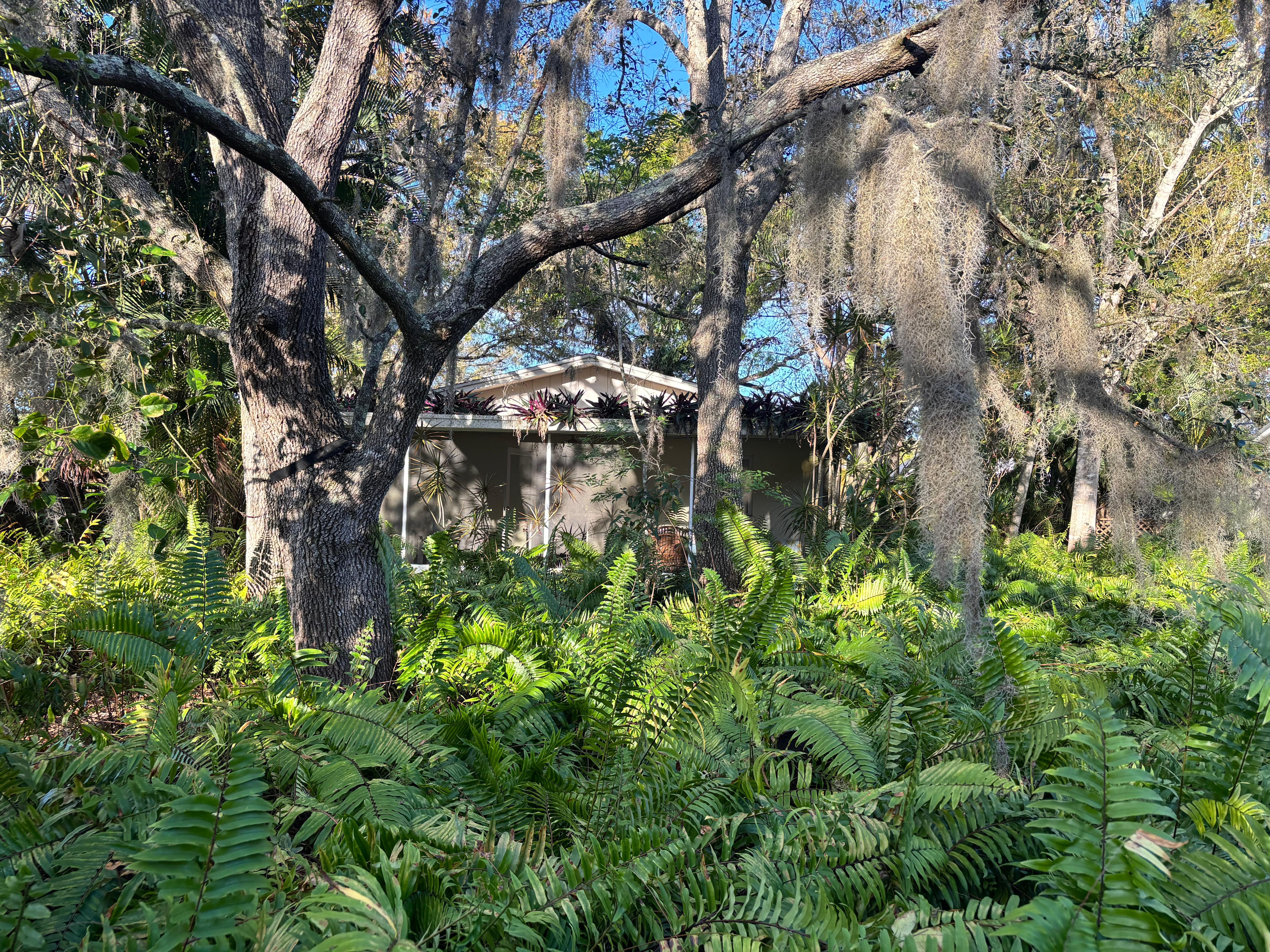 Peaceful setting, you don’t see neighbors or the street!