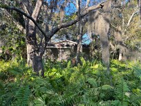 Peaceful setting, you don’t see neighbors or the street!