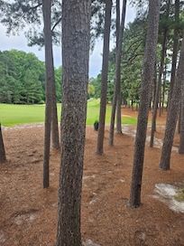 View from deck towards Pinehurst #3 18th hole tee box.