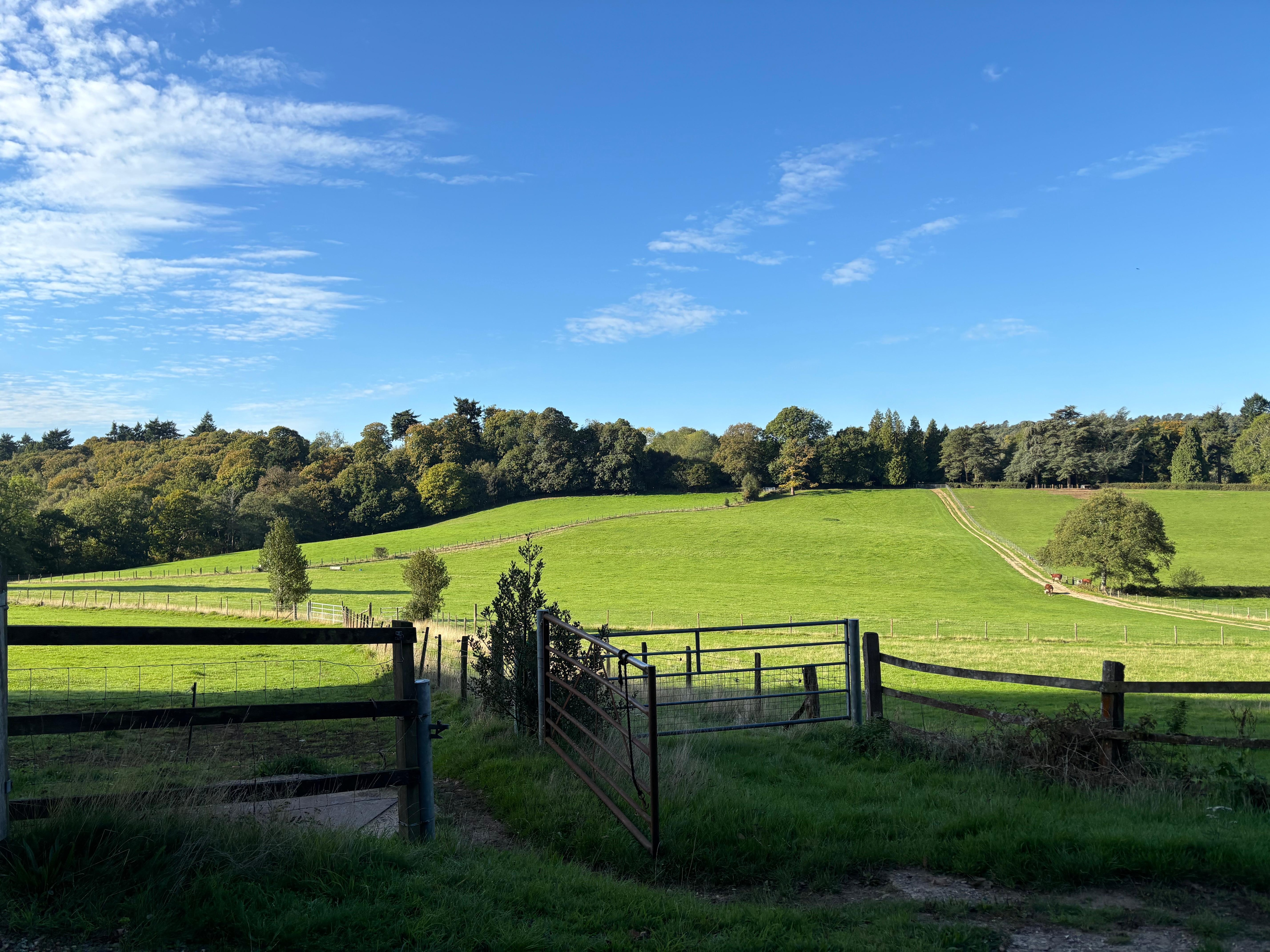 View from Holly Cottage
