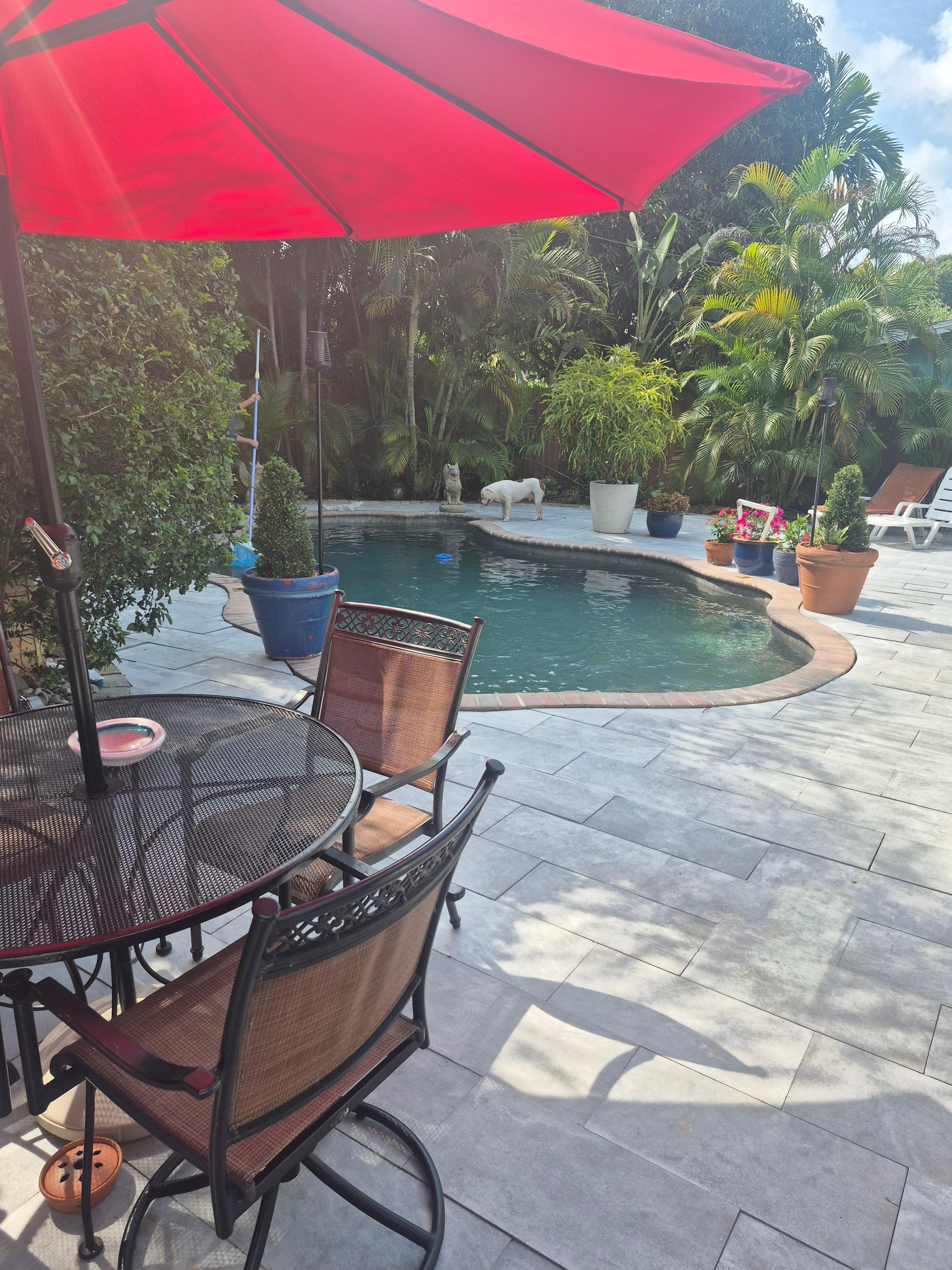Great pool.