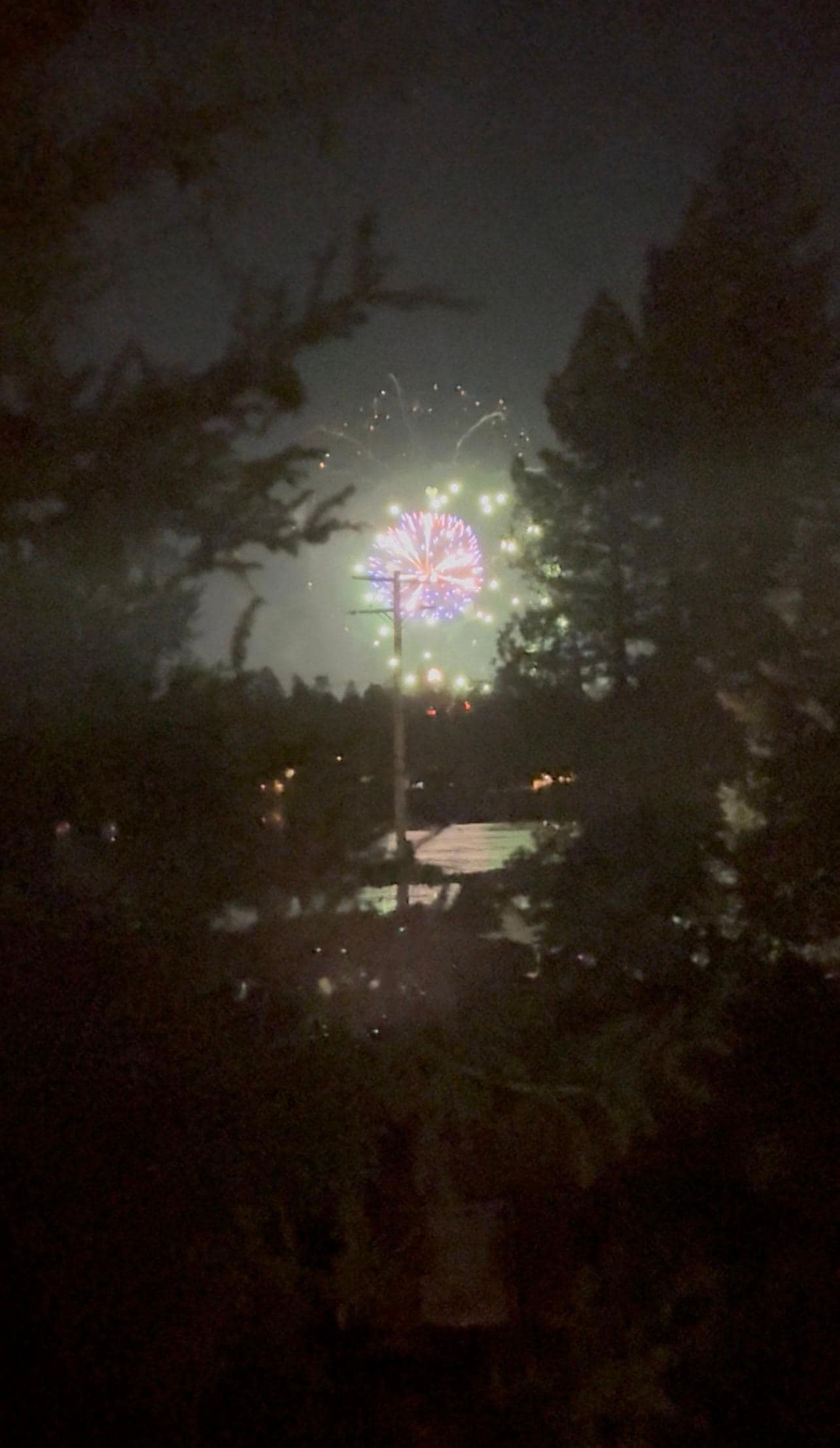 Perfect vantage point right through the trees. 