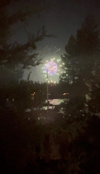 Perfect vantage point right through the trees.