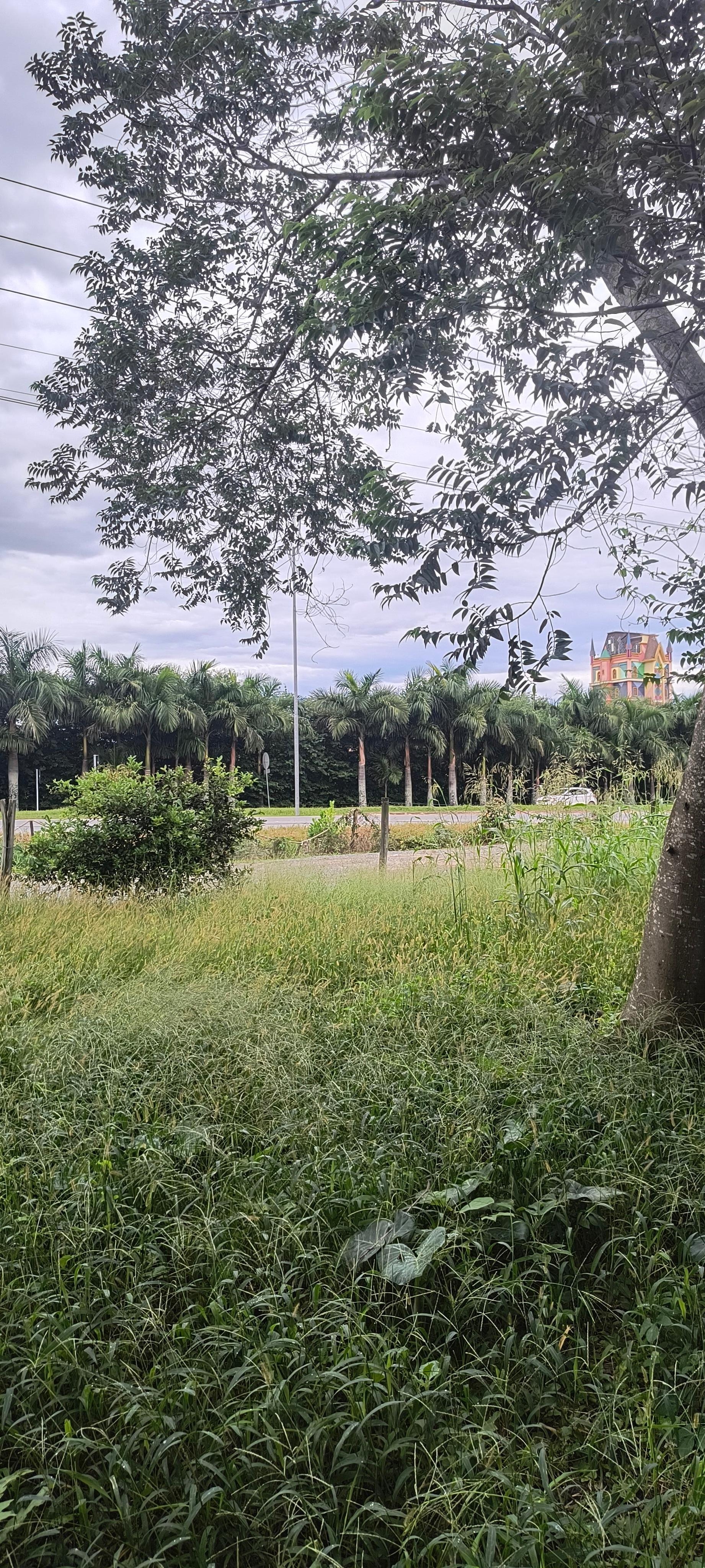 Com visão para o Parque... Super indico!!!