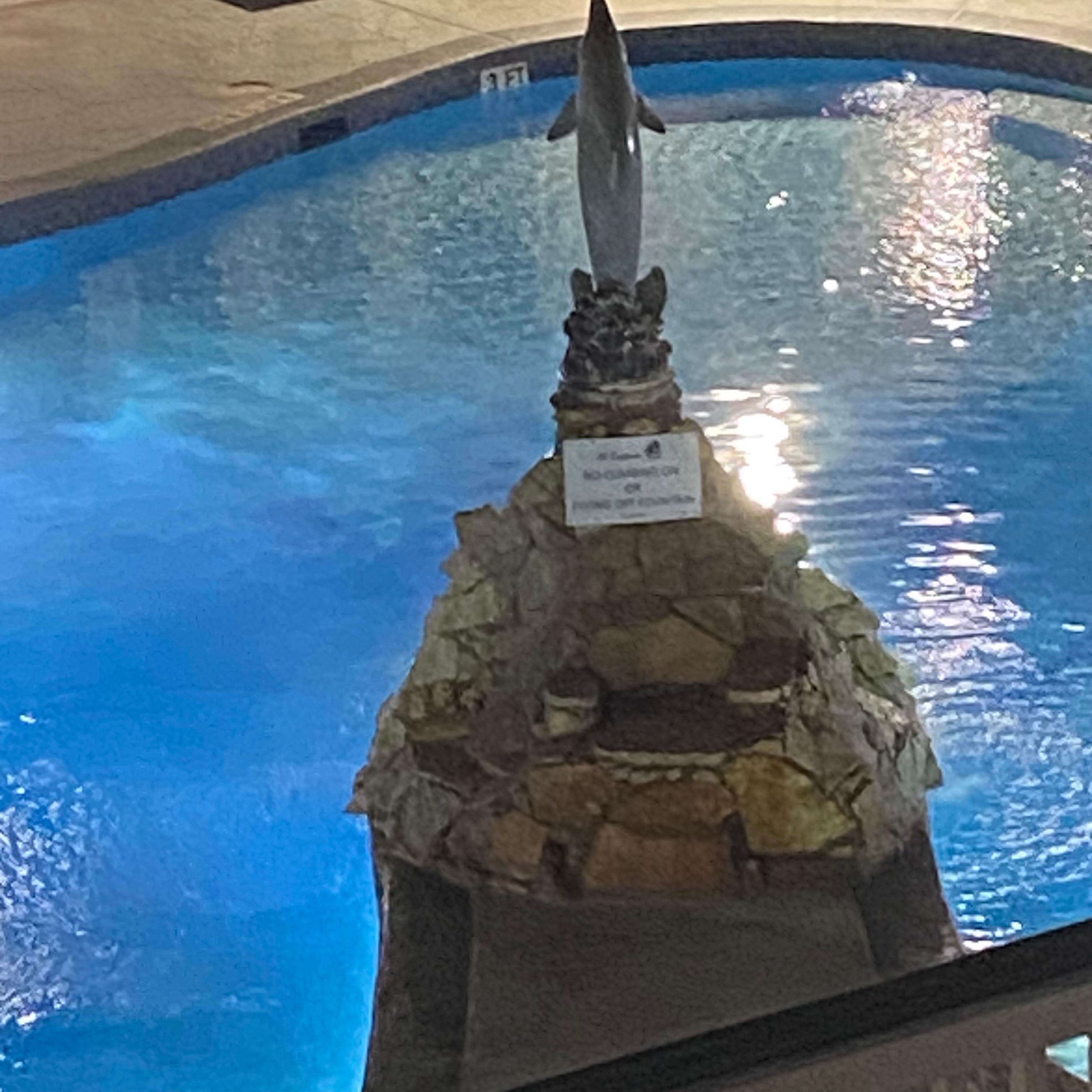 Well kept heated pool