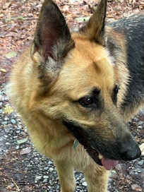Ellie