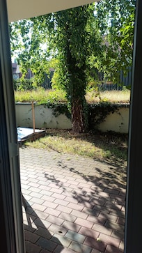 Second tree outside unkempt garden