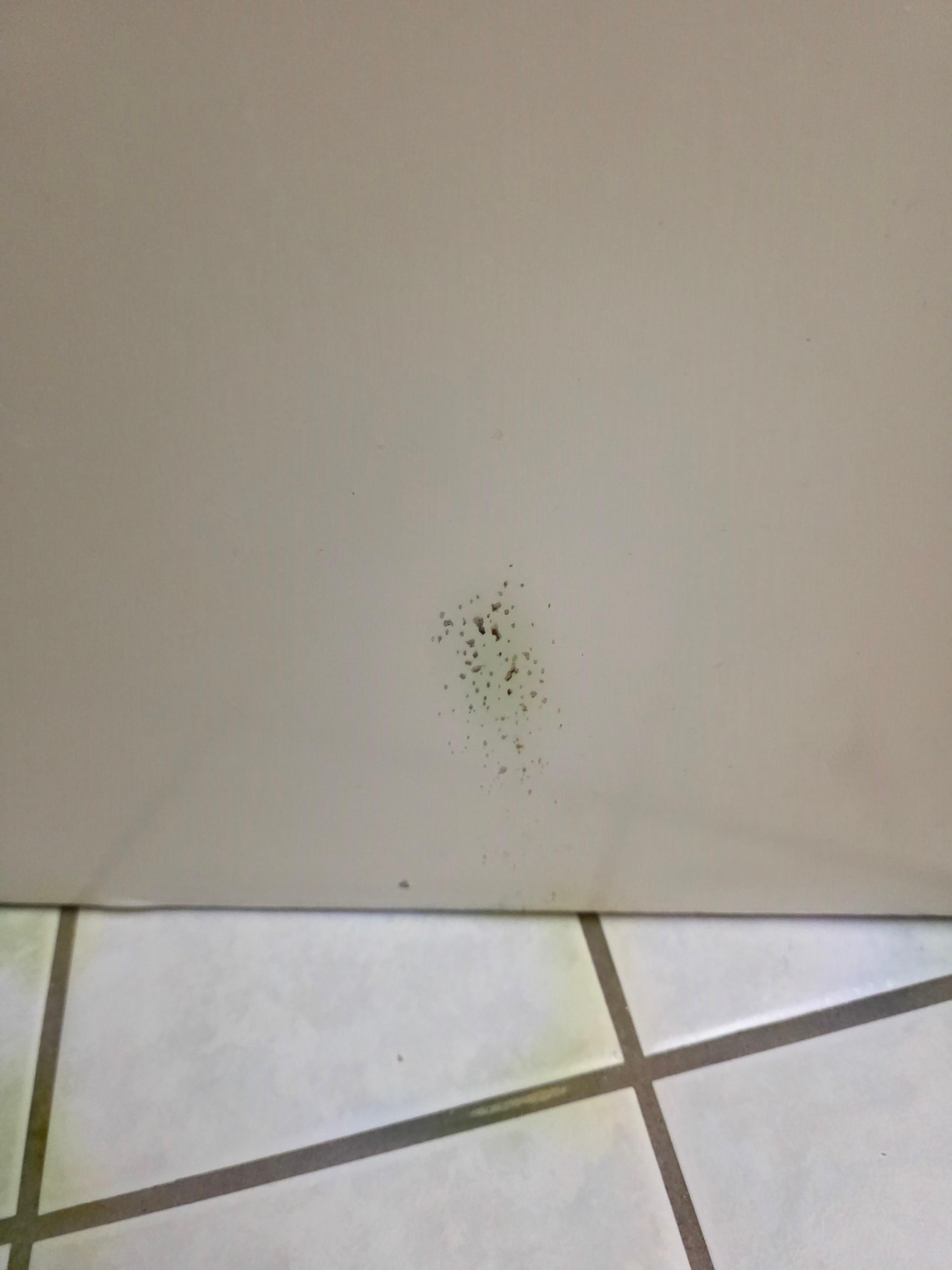 Blood on bottom of said bathroom door