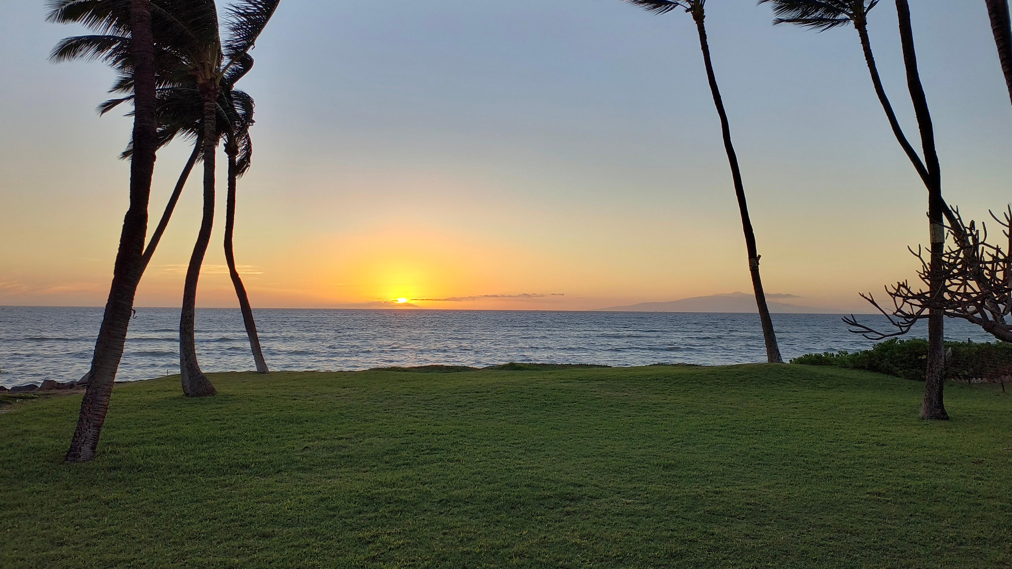 View from the covered outdoor dining space