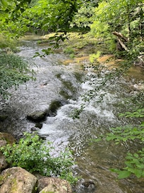 Cosby creek from back of the deck.