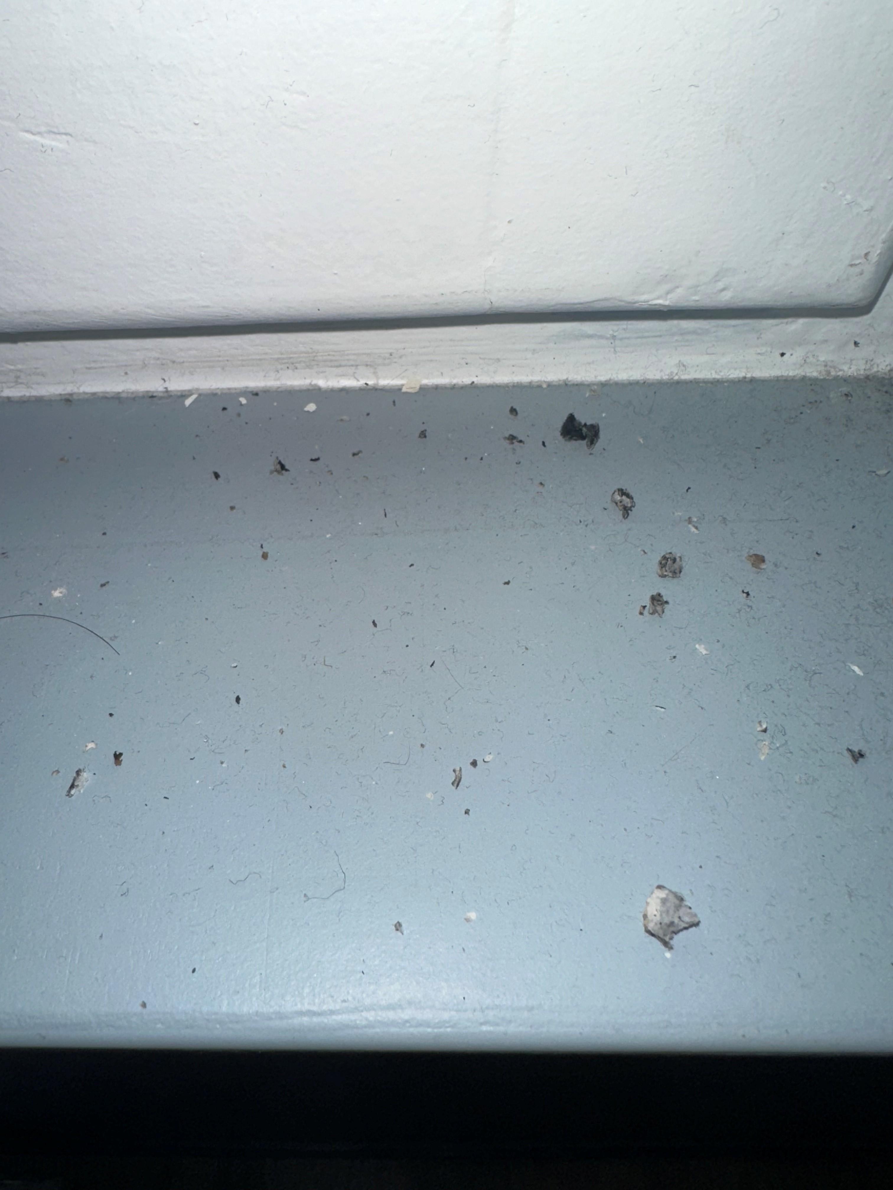 dirt behind curtains