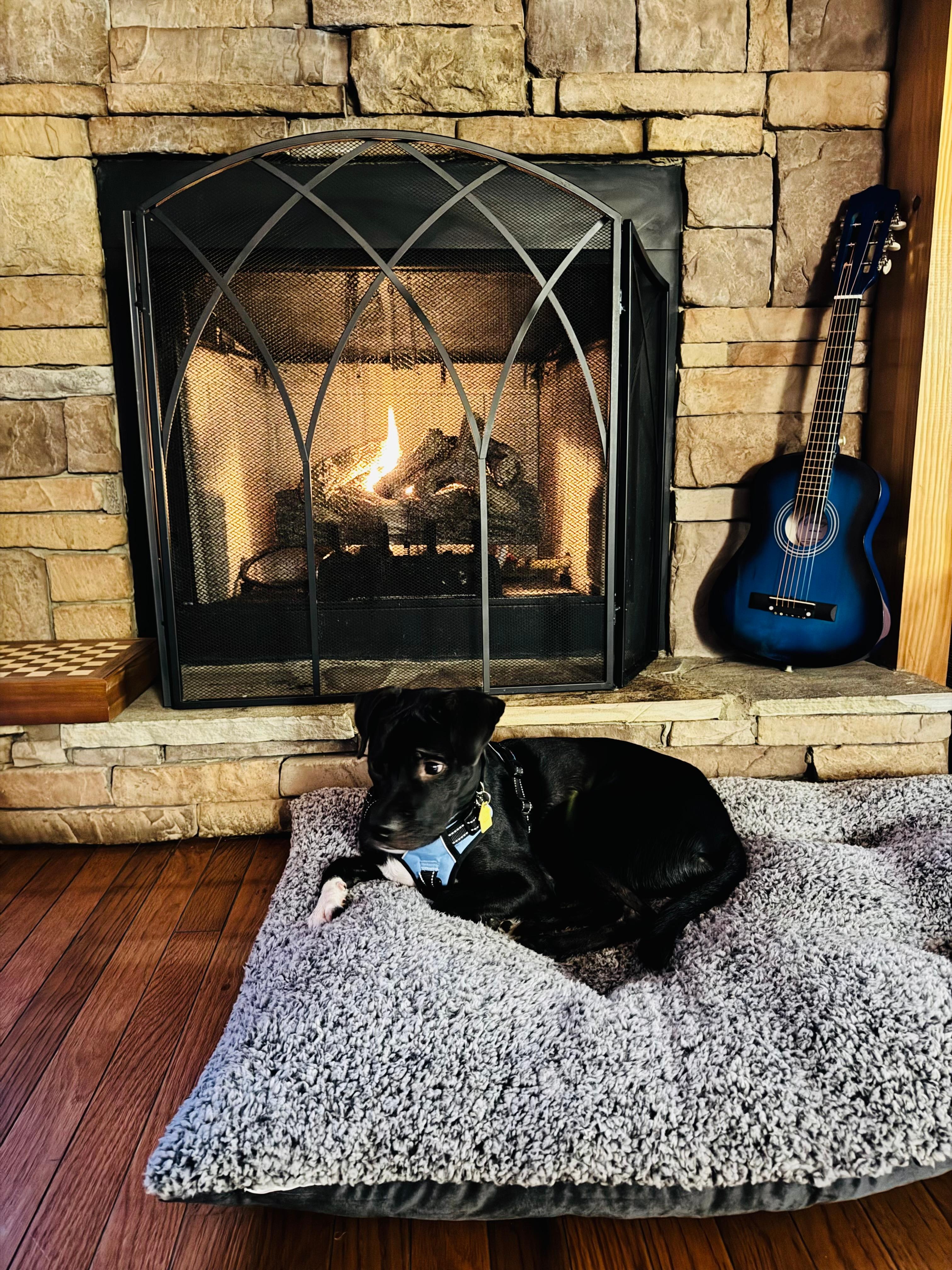 We brought the dog bed down and our dog loved sitting in front of the fireplace.