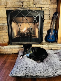 We brought the dog bed down and our dog loved sitting in front of the fireplace.