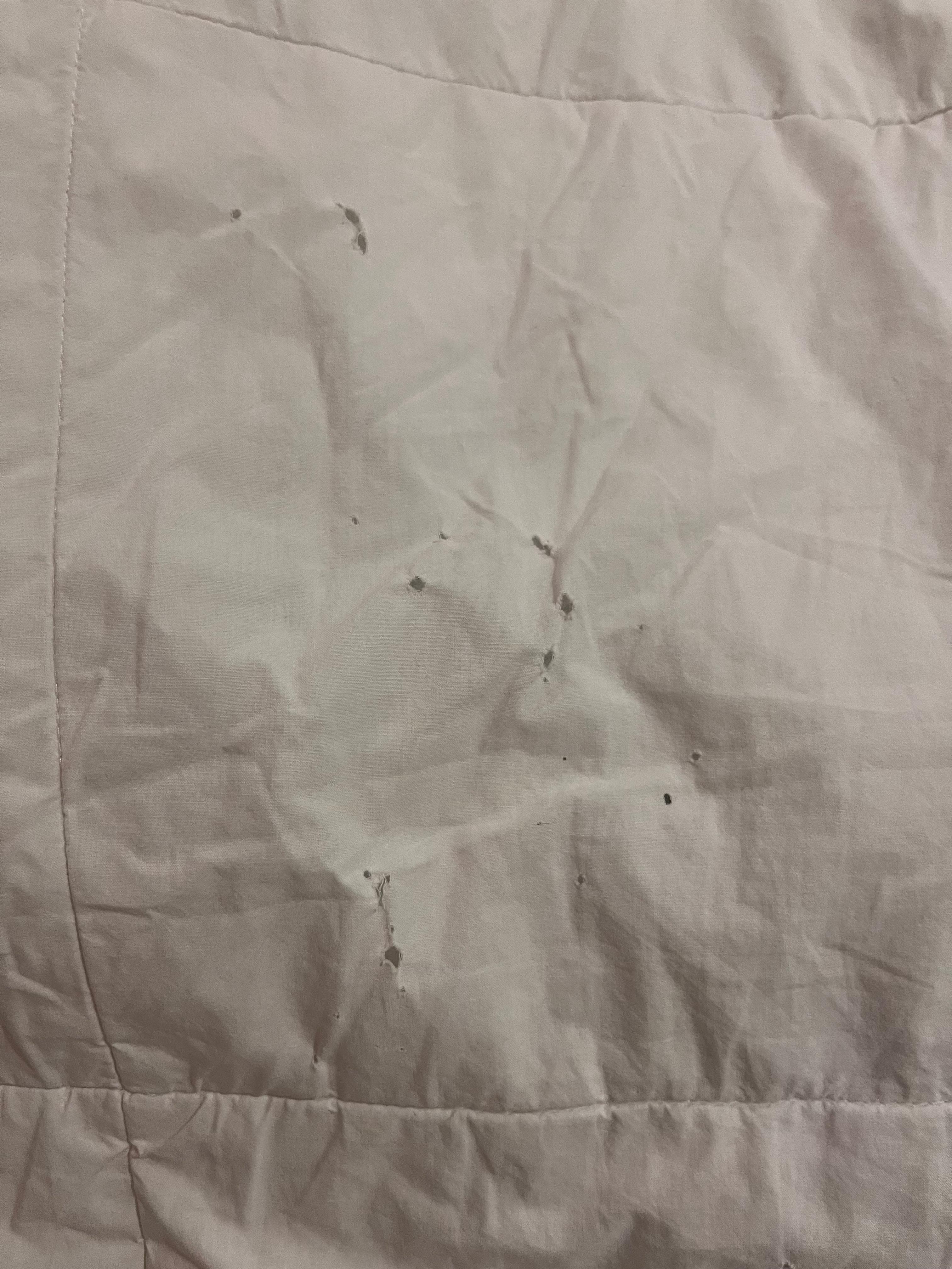 Holes in the blanket
