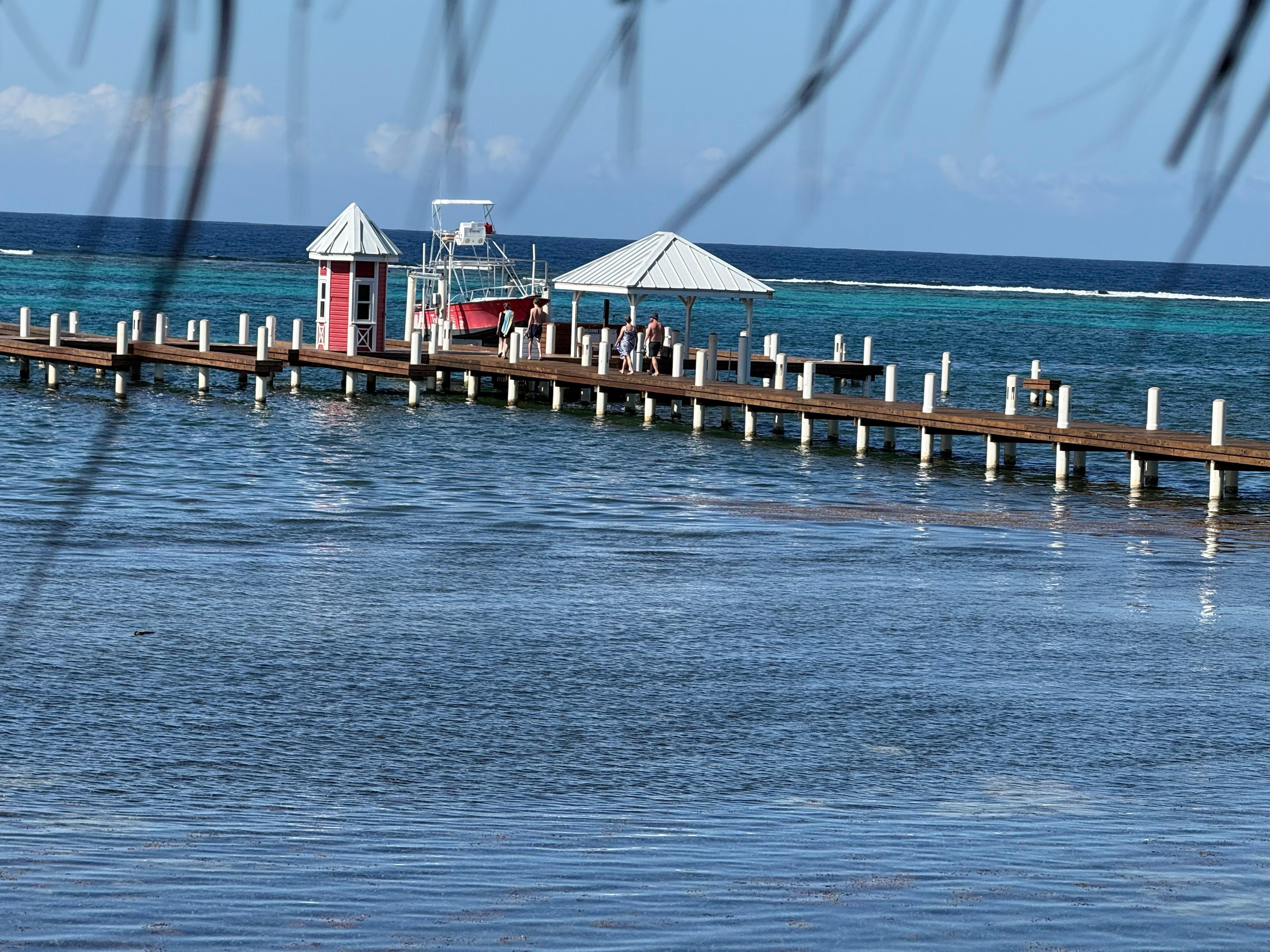 Broen hvor der blev snorklet fra
