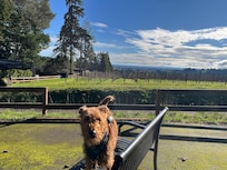 Nice bench for taking in the view
