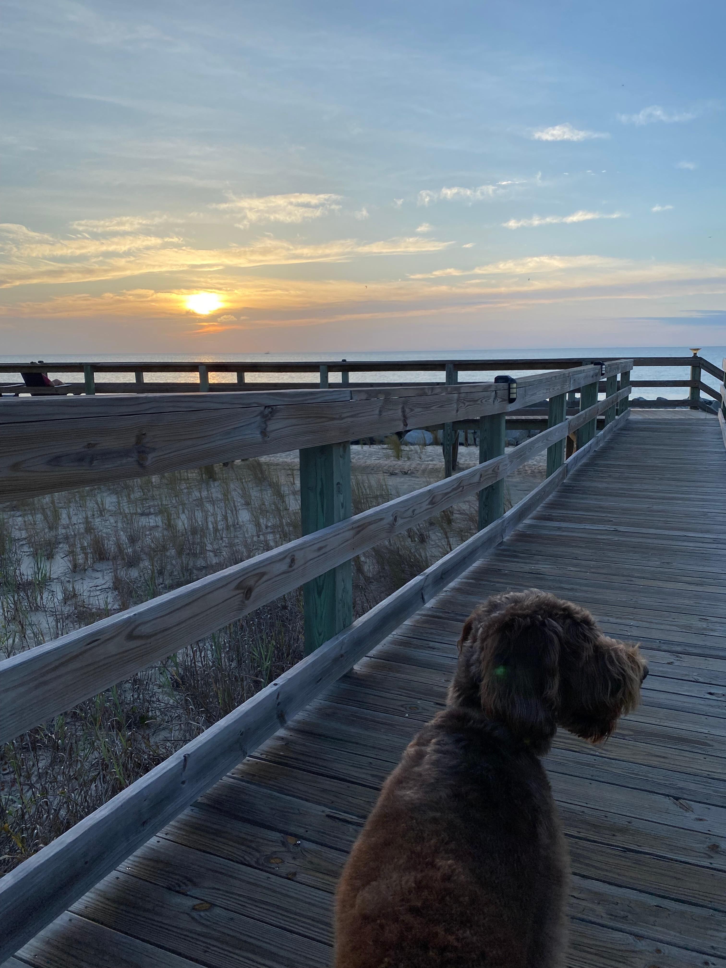 Morning sunrise!
