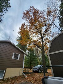 View from hottub -- private!