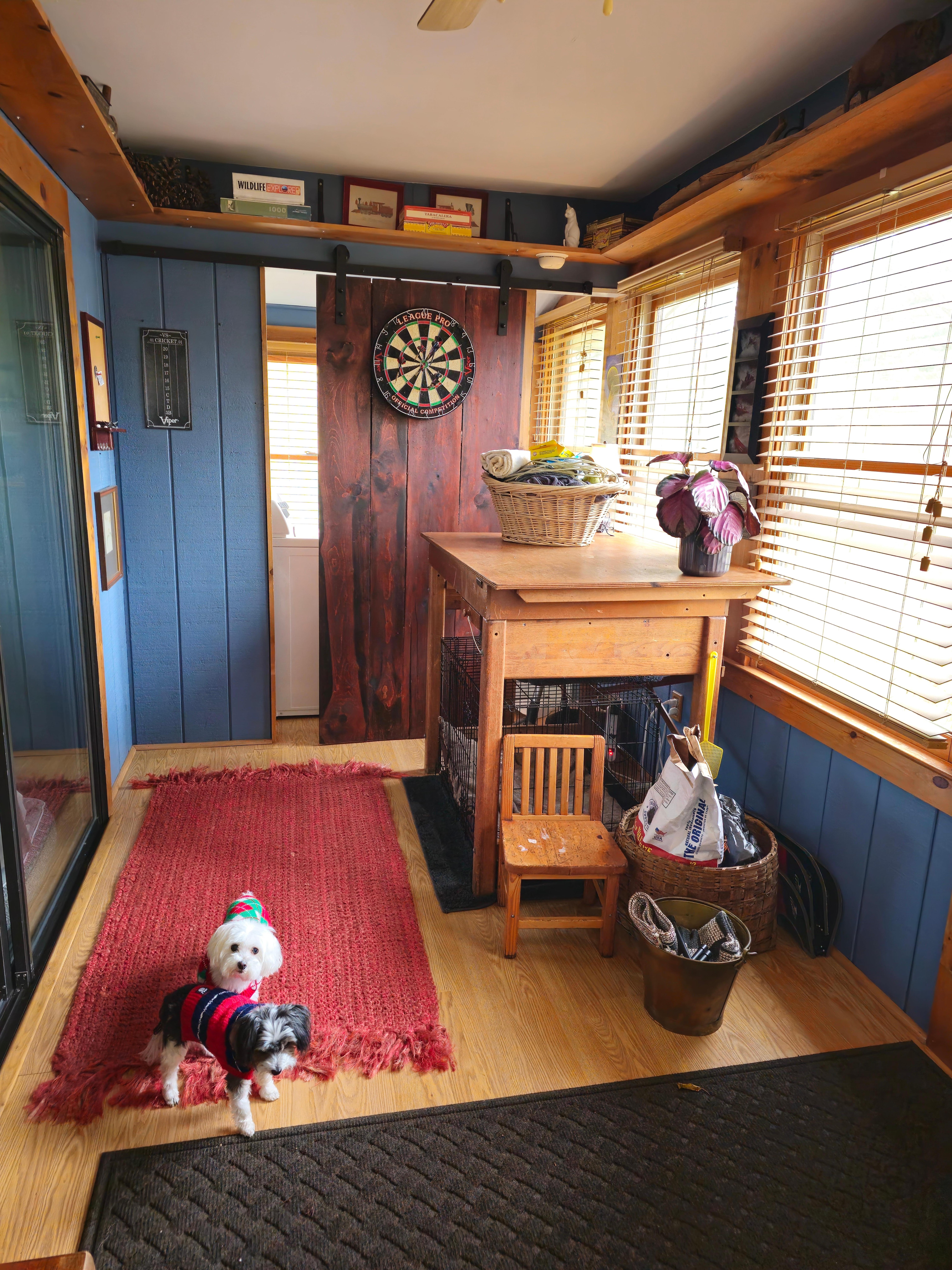 Dog crate, dog basket, outdoor baskets.