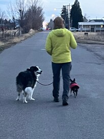 Nice walkable streets in cute quiet neighborhood.