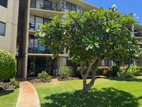View of the condo's lanai