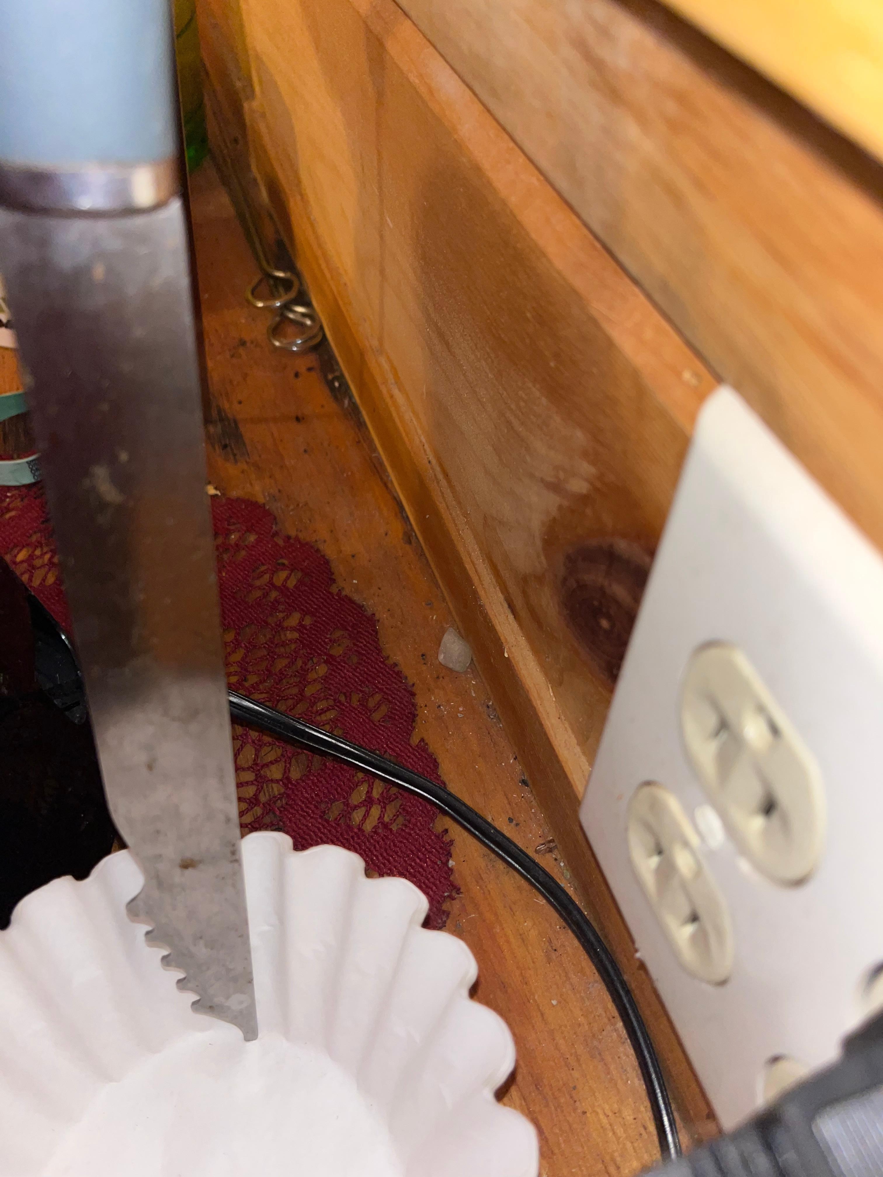 Coffee pot and food area covered by mice poop