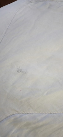 Hair on the pullout bedding.