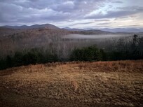 Morning view from the balcony