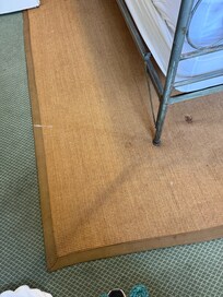 Nasty stains on the mat on top of the carpet!