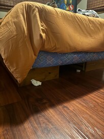 Used tissues in bedroom on main floor