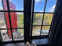 The view