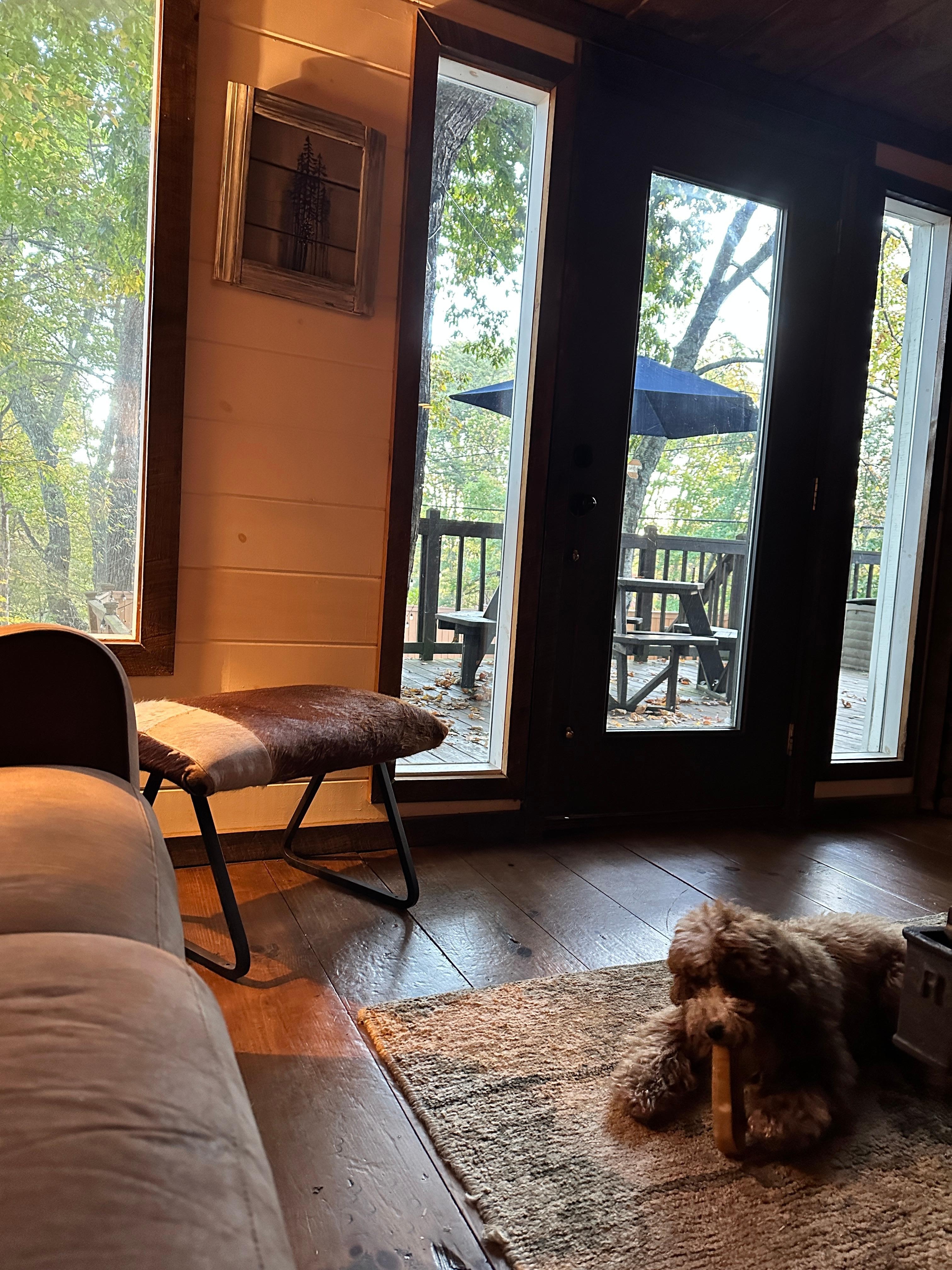 Like waking up in a treehouse! 