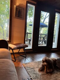 Like waking up in a treehouse!