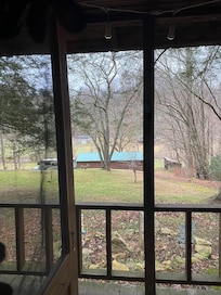 Deer grazing in the front yard.