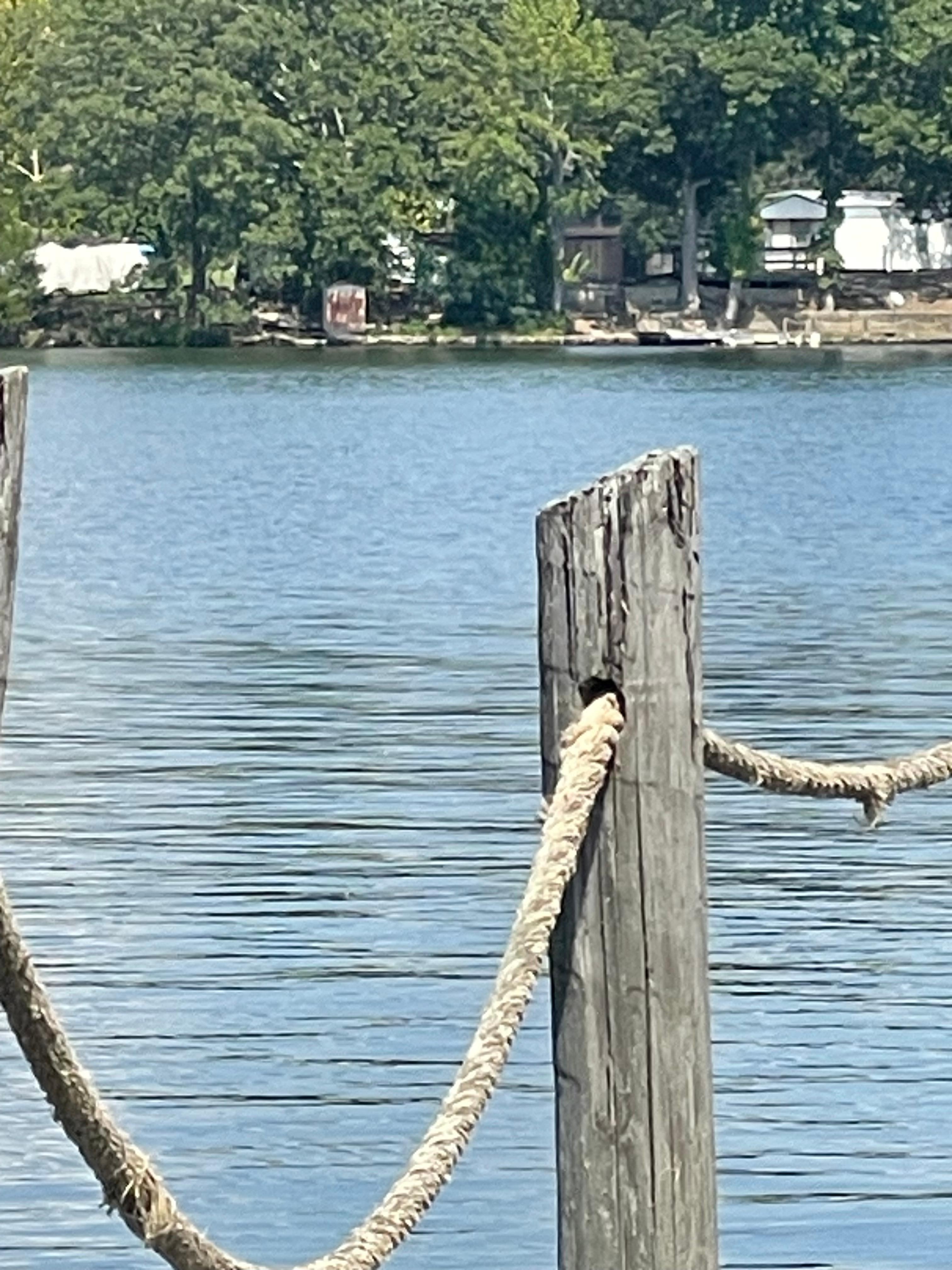 Our first morning view from our unit!  How incredible is that?