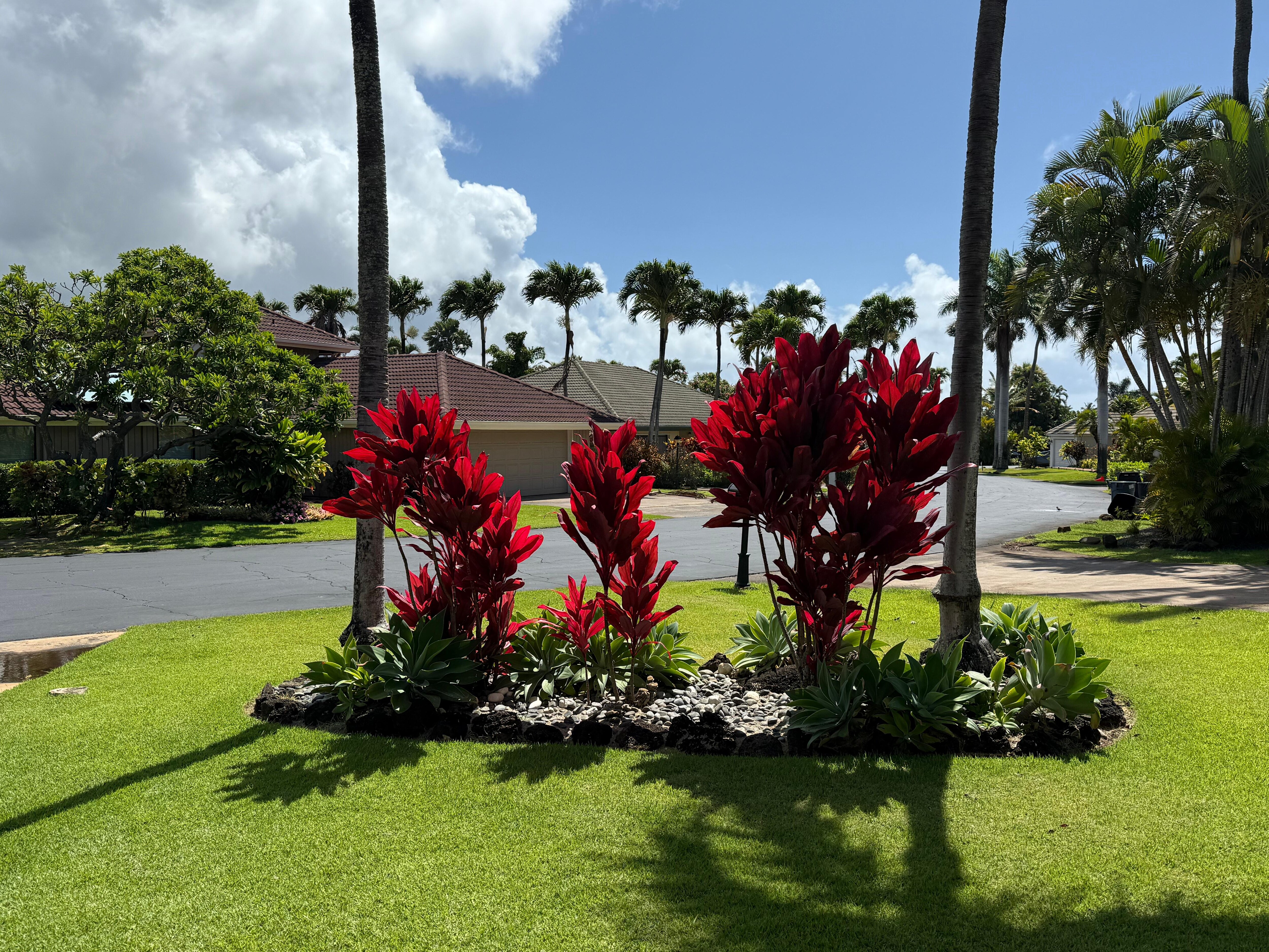 The front lawn area