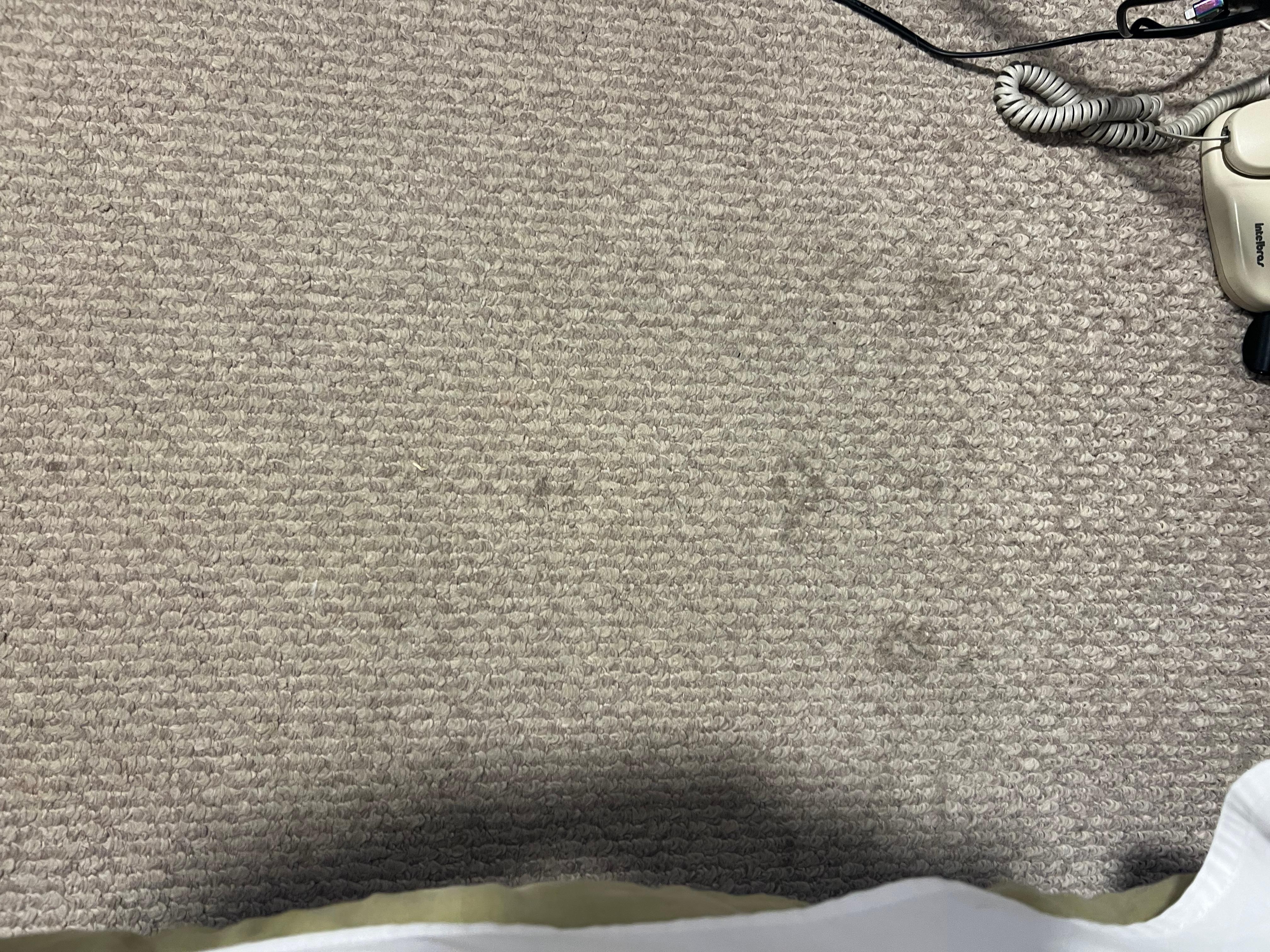 Stains on carpet