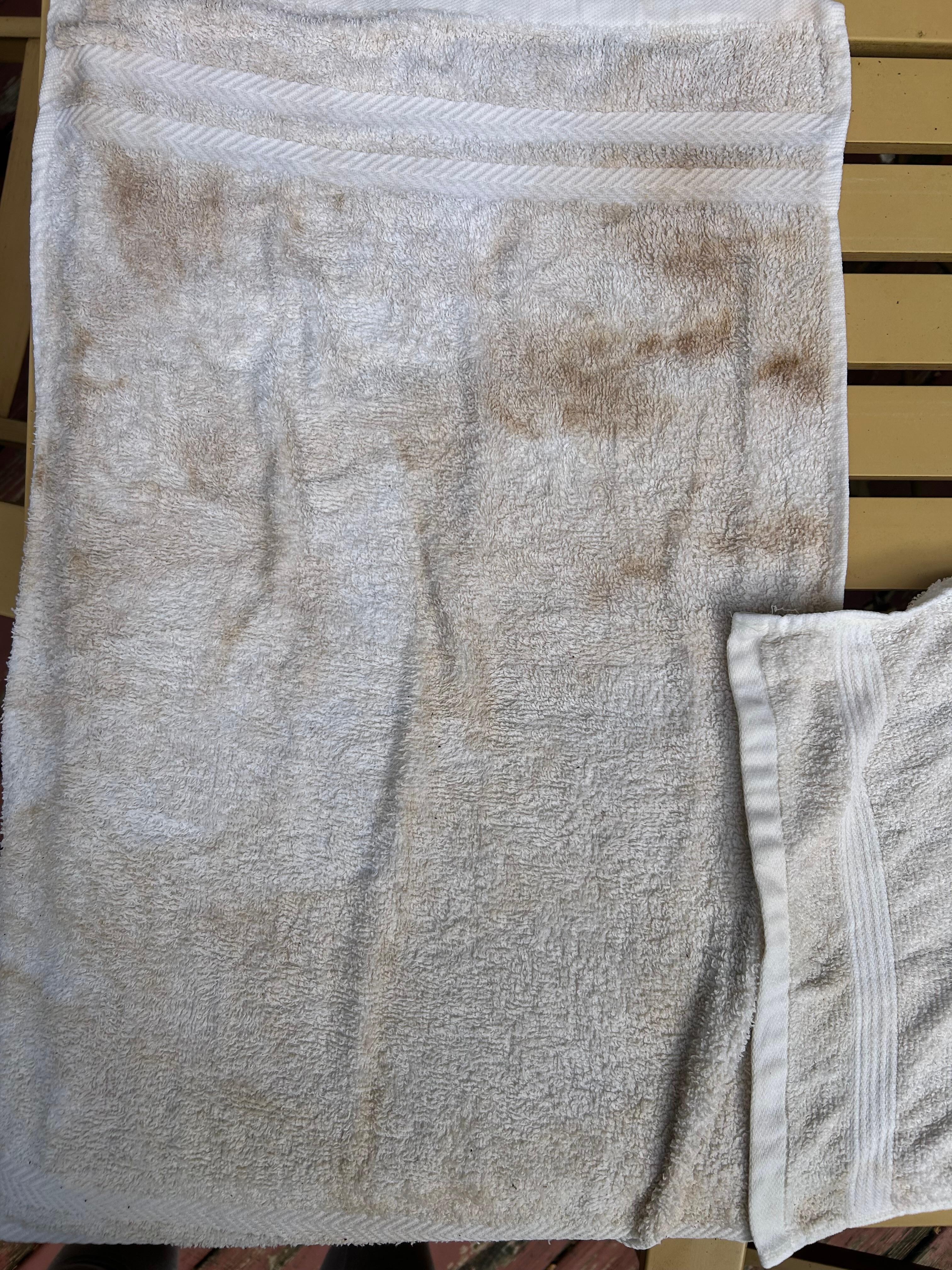 Towel after drying off from shower